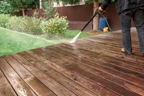 Best Roof Washing  in Minneola, FL